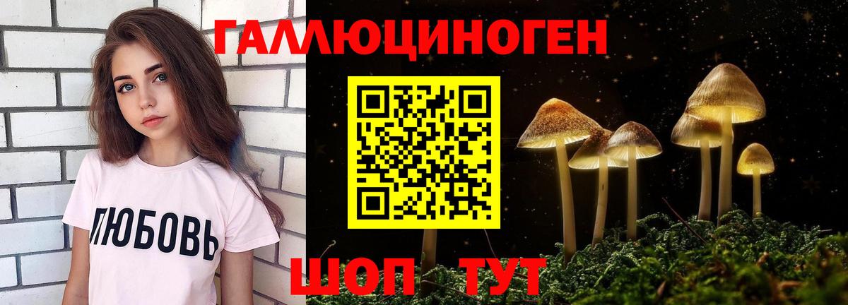 Назарово  Псилоцибиновые грибы прущие грибы  Вход с VPN  Галлюциногенные грибы мухоморы 